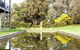 Lancemore Milawa - thumb 5