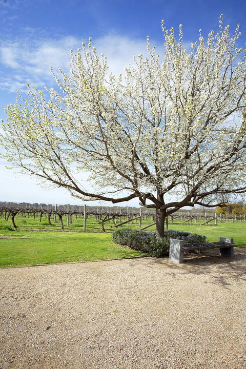 Lancemore Milawa - Accommodation 4U 12