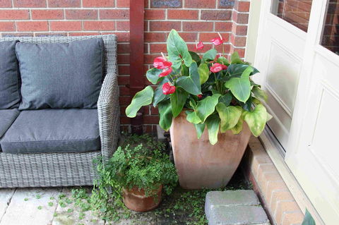 Oxford Rise Apartment - Accommodation 4U 16