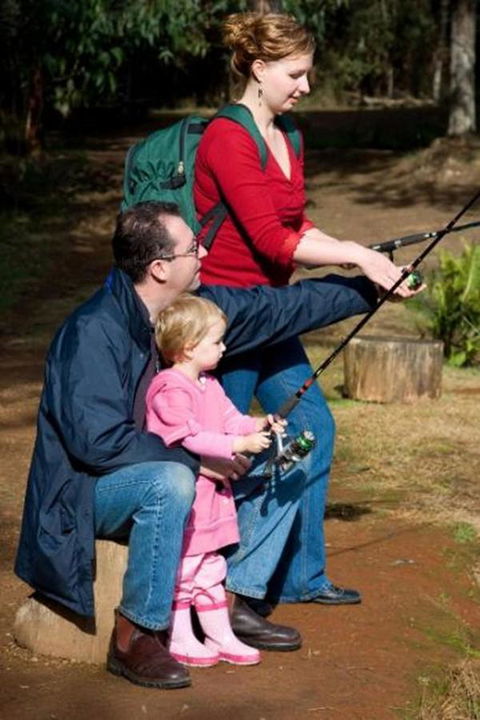 Marysville Caravan And Holiday Park - Accommodation 4U 22