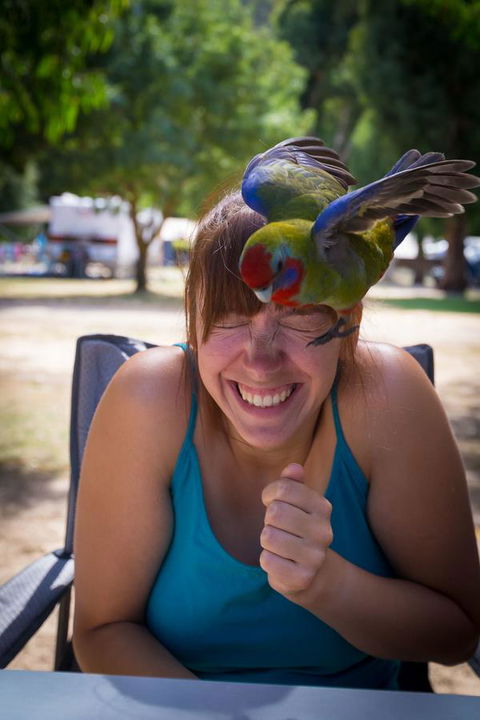 Halls Gap Lakeside Tourist Park - Accommodation 4U 5