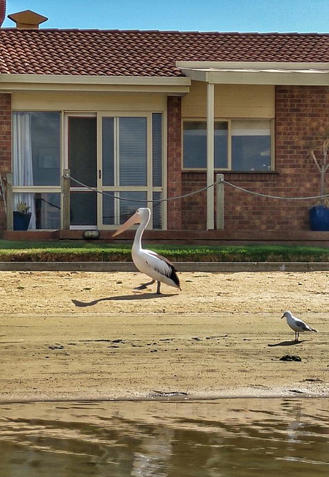 Waterfront Retreat - Accommodation 4U 25