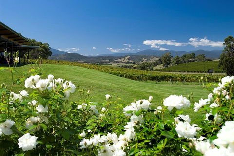 Balgownie Estate Yarra Valley - Accommodation 4U 36
