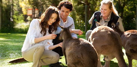 Balgownie Estate Yarra Valley - Accommodation 4U 10