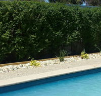 Robinvale Bridge Motel - Accommodation 4U