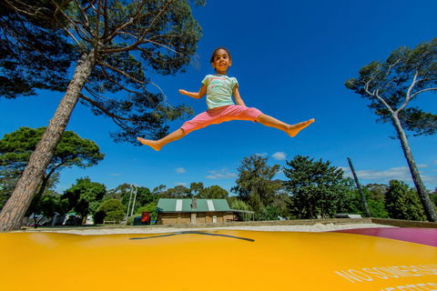 BIG4 Castlemaine Gardens - Accommodation 4U 21