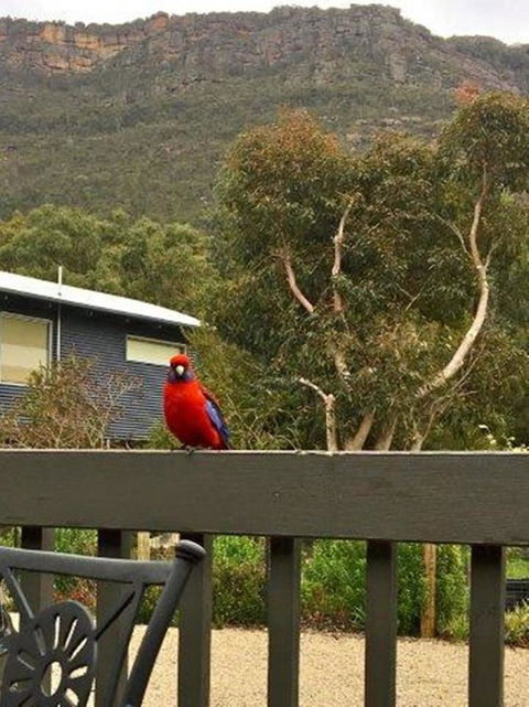 Kangurra Holiday House - Accommodation 4U 15
