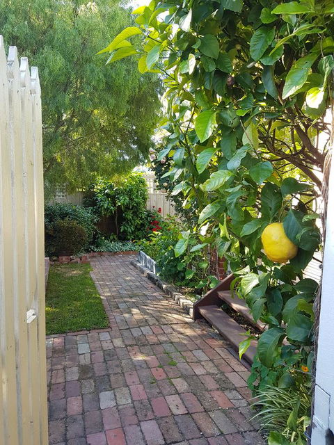 Healesville House - Fig Tree House - Accommodation 4U 17