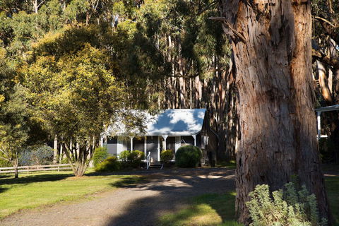Bodhi Daylesford - Accommodation 4U 8