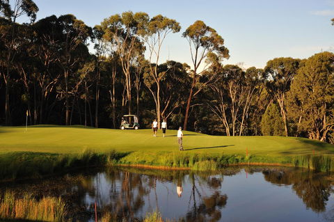 RACV Goldfields Resort - Accommodation 4U 31