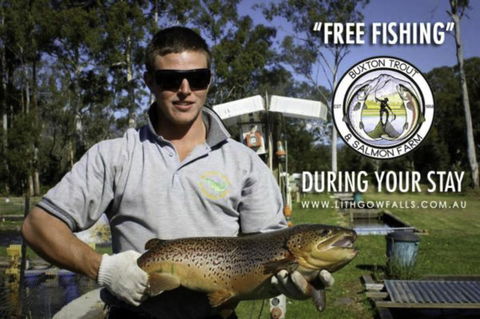 Lithgow Falls Marysville - Accommodation 4U 14