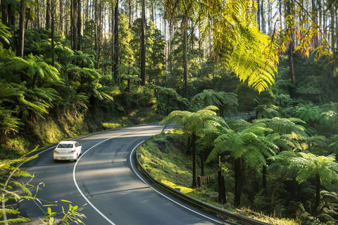 Lithgow Falls Marysville - Accommodation 4U 15