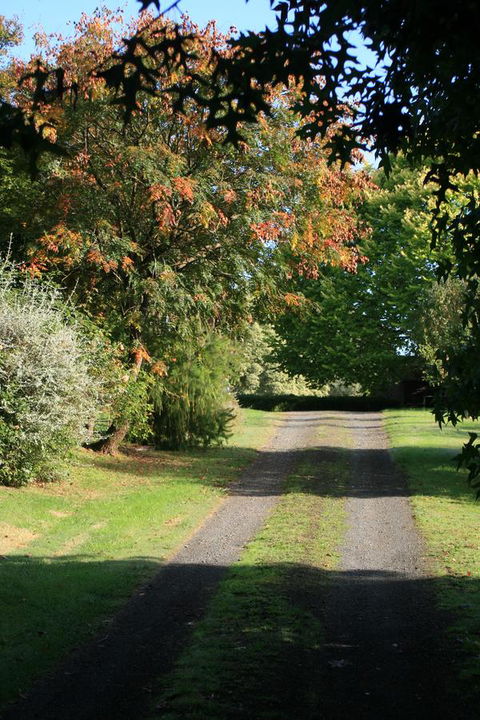Strathmore Farm B&B - Accommodation 4U 27