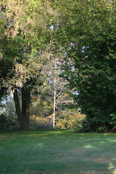 Strathmore Farm B&B - Accommodation 4U 26
