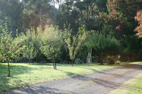 Strathmore Farm B&B - Accommodation 4U 33