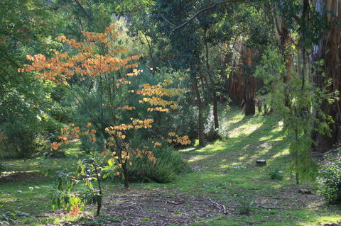 Strathmore Farm B&B - Accommodation 4U 25