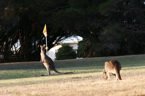 Lakeside At Mallacoota - Accommodation 4U 37