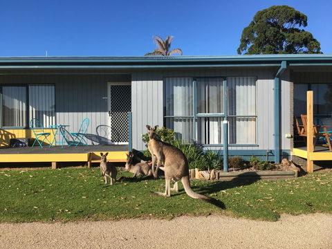 Lakeside At Mallacoota - Accommodation 4U 15