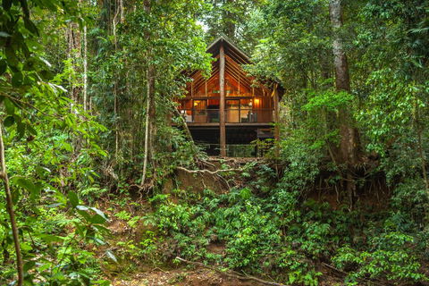 The Canopy Rainforest Treehouses & Wildlife Sanctuary - Accommodation 4U 2