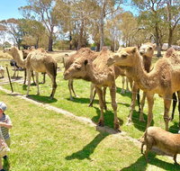 The Funny Farm - Animals / Churchhouse / Amazing Experience - Accommodation 4U