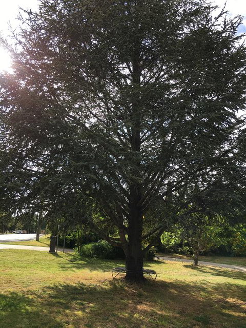 The Glasshouse Boutique Accommodation - Accommodation 4U 3