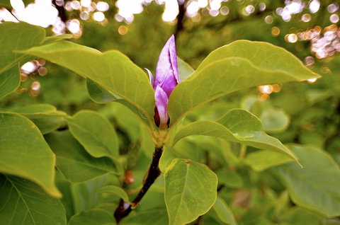 The Glasshouse Boutique Accommodation - Accommodation 4U 2