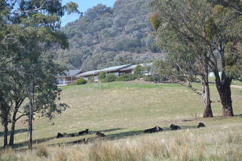 The Homestead At Holmeslgen At Eildon - Accommodation 4U 1