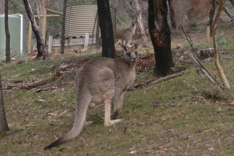 The Ledge Holiday House - Accommodation 4U 2