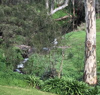 The Miners Cottage Barossa - Accommodation 4U