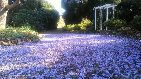 The Old Church Bed And Breakfast - Accommodation 4U 2