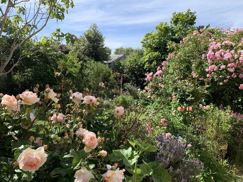 The Racecourse Inn - Accommodation 4U 2