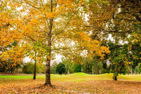 The Retreat At Wisemans - Accommodation 4U 1