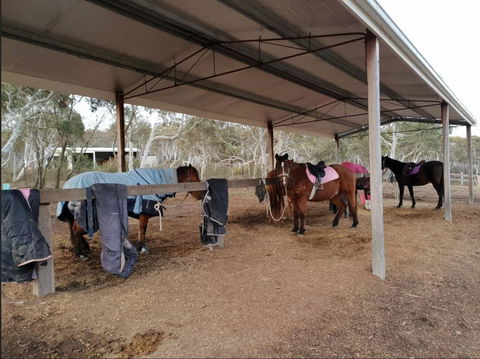 The Saddle Camp Tiny House, Braidwood - Accommodation 4U 1