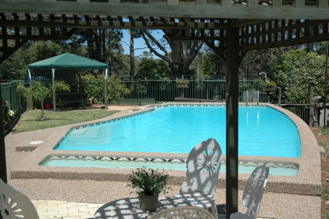 The Tree Motel - Accommodation 4U 0