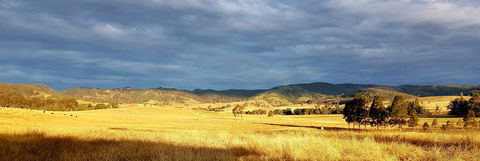The Wattle Lodge - Accommodation 4U 1