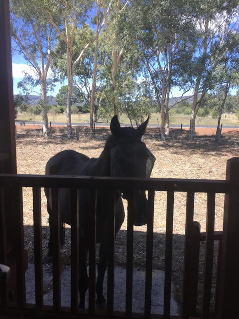 Thie My Chree Retreat - Accommodation 4U 3