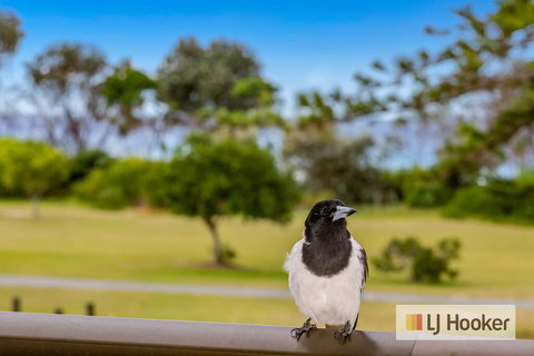 TRADEWINDS 1 - Accommodation 4U 1