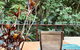 Tranquil Setting In Buderim - thumb 3
