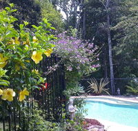 Tropical Coast Retreat - Pet Friendly - Accommodation 4U