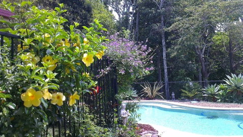Tropical Coast Retreat - Pet Friendly - Accommodation 4U 0