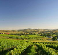 Turners Vineyard Motel - Accommodation 4U