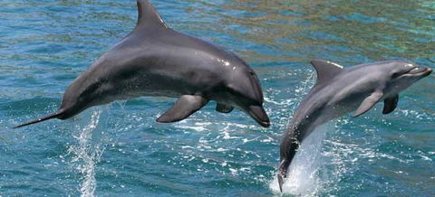 Venetian Canal 1 Bedroom Apartment - Accommodation 4U 2