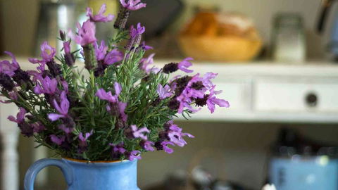 Vicarage View Cottage - Accommodation 4U 2