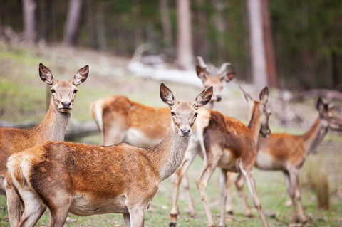 Villa Cervi Property - Accommodation 4U 0