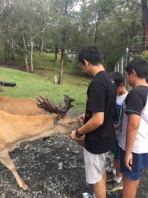 Villa Cervi Property - Accommodation 4U 3