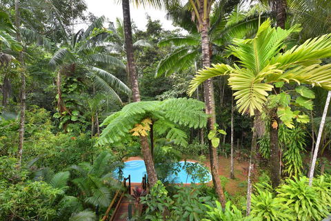 Wait A While Daintree - Accommodation 4U 3