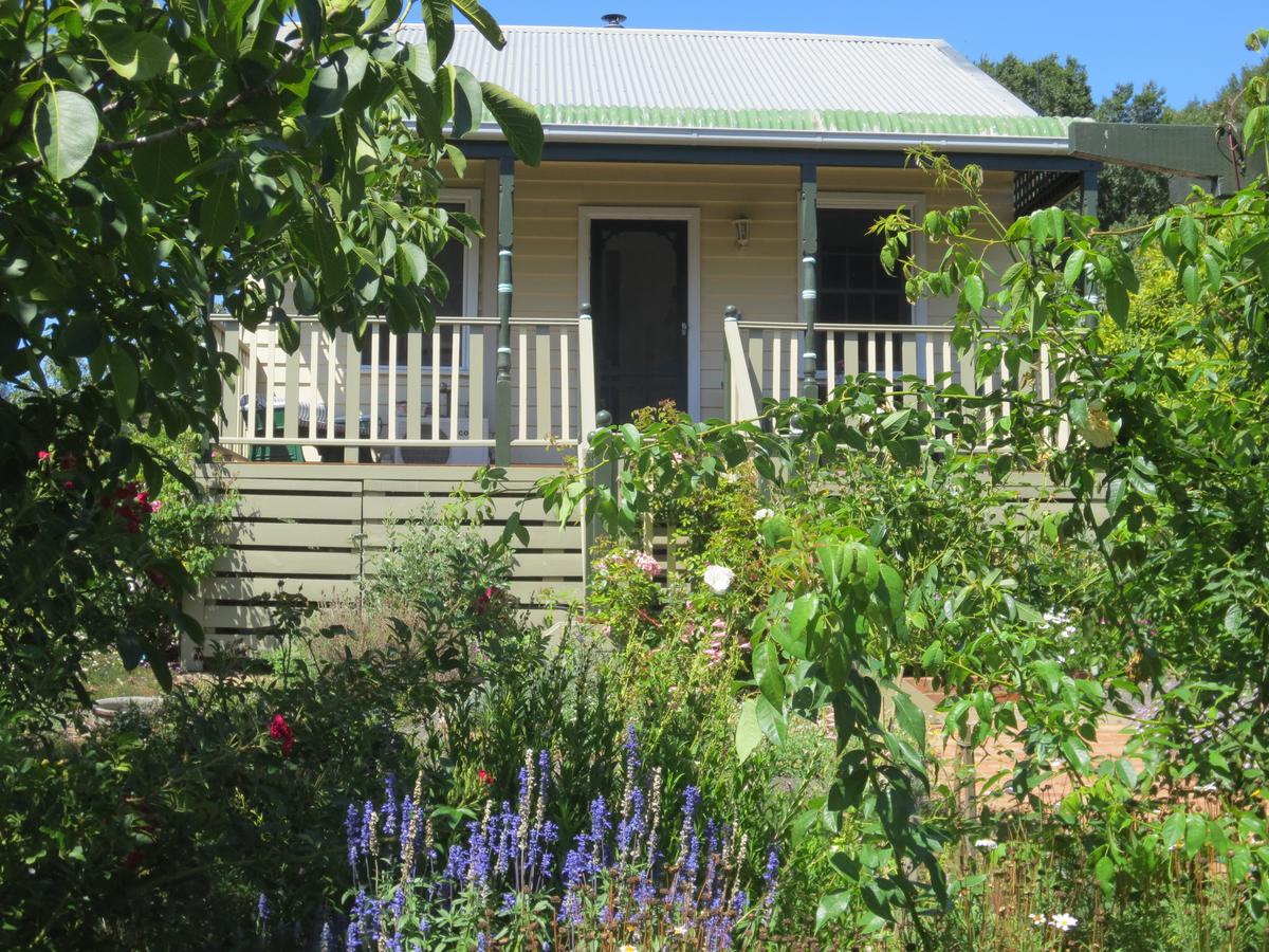 Wild Dog Valley VIC Accommodation 4U