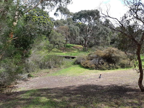 Elevated Holiday House Overlooks Tranquil Wetlands - Accommodation 4U 11