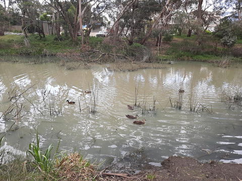 Elevated Holiday House Overlooks Tranquil Wetlands - Accommodation 4U 12