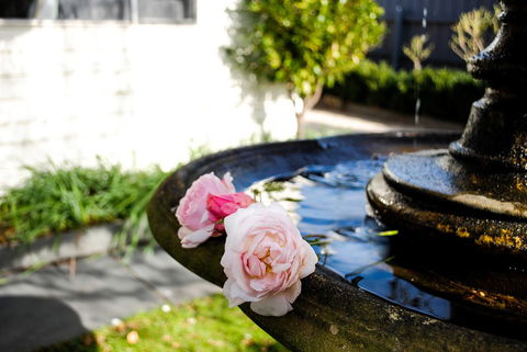 Bed Of Roses - Accommodation 4U 35